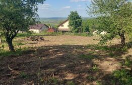     Teren pentru construcție în Rădășeni – 3.943 mp, locație excelentă