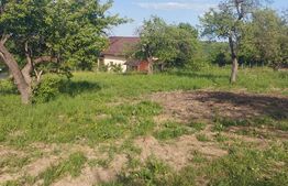     Teren pentru construcție în Rădășeni – 3.943 mp, locație excelentă