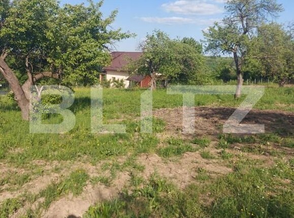 Teren de vânzare Sud Vest - 156286TV | BLITZ Suceava | Poza2
