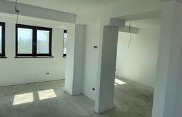 Penthouse, 147 mp utili, cartier Burdujeni