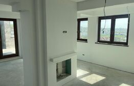 Penthouse, 147 mp utili, cartier Burdujeni