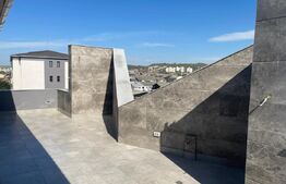 Penthouse, 147 mp utili, cartier Burdujeni