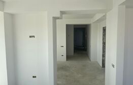 Penthouse, 147 mp utili, cartier Burdujeni