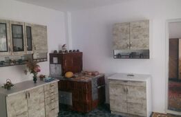 Casă, 180 mp + teren, Frasin