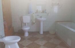 Casă, 180 mp + teren, Frasin