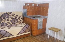 Casă, 180 mp + teren, Frasin