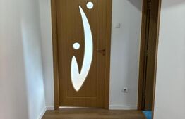 Apartament 2 camere,etaj intermediar,renovat,zona Albina