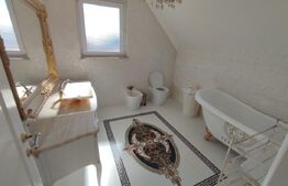 Ocazie! Doua case individuale în aceeasi curte în Radauti