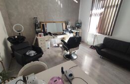 Ocazie! Doua case individuale în aceeasi curte în Radauti