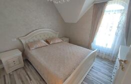 Ocazie! Doua case individuale în aceeasi curte în Radauti