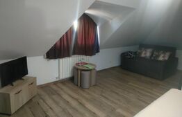 Oportunitate! Pensiune ultramoderna cu 8 camere, zona Bilca, Radauti