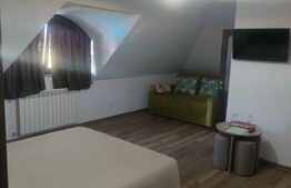 Oportunitate! Pensiune ultramoderna cu 8 camere, zona Bilca, Radauti