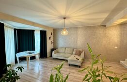 Casa tip Duplex,  Ipotesti