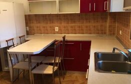 Apartament de inchiriat cu 2 camere, 80 mp, etaj intermediar , Radauti