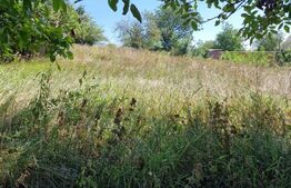 Teren intravilan, 1609 mp, loc. Ipotesti