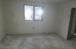 Casa batraneasca partial renovata, loc Plavalari, com.Udesti