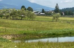 Pensiune Coșna, Vatra Dornei, 600 mp