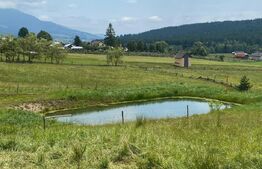 Pensiune Coșna, Vatra Dornei, 600 mp