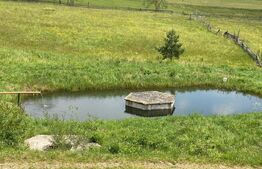 Pensiune Coșna, Vatra Dornei, 600 mp