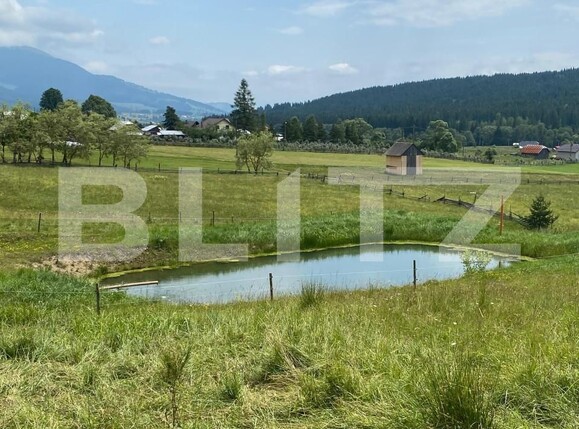 Spațiu comercial de vânzare Exterior Vest - 157161SVC | BLITZ Suceava | Poza8