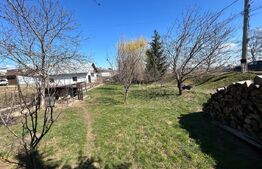 Oportunitate!Casa multifunctionala 188 mp , 669 teren, Profi Sf Ilie Suceava