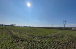 Teren extravilan, 7.300 mp, front 51 ml - Fălticeni 