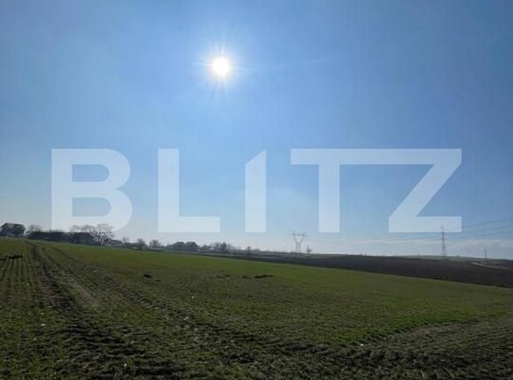 Teren de vânzare Falticeni - 157166TV | BLITZ Suceava | Poza2