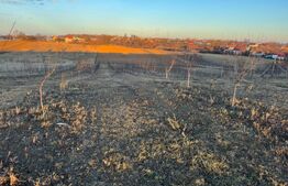 Teren extravilan - Fălticeni 