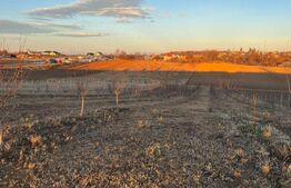 Teren extravilan - Fălticeni 