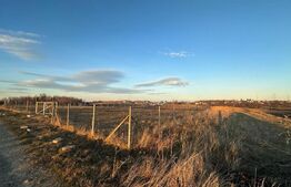 Teren extravilan - Fălticeni 