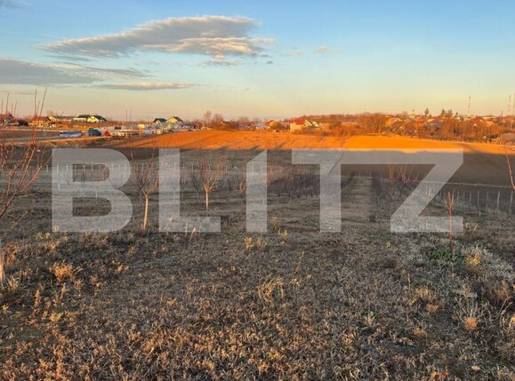 Teren de vânzare Falticeni - 157167TV | BLITZ Suceava | Poza3