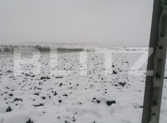 Teren de vânzare Liteni - 157177TV | BLITZ Suceava | Poza1