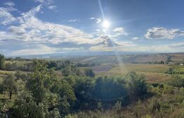 Casa 8 camere, 800mp, 1980mp teren 