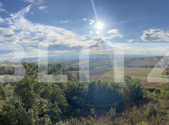 Casa de vânzare 8 camere Exterior Vest - 157184CV | BLITZ Suceava | Poza8