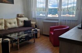 Apartament 2 camere, semidecomandat, 50 mp, Vatra Dornei