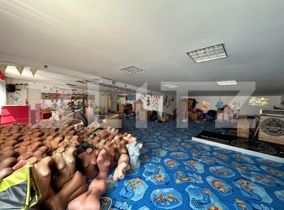 Spațiu comercial de închiriat Adancata - 157187SIC | BLITZ Suceava | Poza3