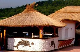 Teren, 3800mp, Nord-Est