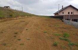 Teren intravilan 5300 mp, pretabil pentru construirea de hale sau duplex, zona Sf. Ilie-Moara