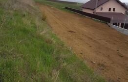 Teren intravilan 5300 mp, pretabil pentru construirea de hale sau duplex, zona Sf. Ilie-Moara