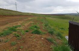 Teren intravilan 5300 mp, pretabil pentru construirea de hale sau duplex, zona Sf. Ilie-Moara