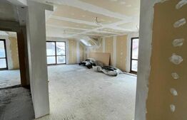 Apartament cu destinatii multiple, semifinisat, 227 mp, zona Scheia