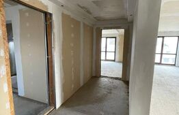 Apartament cu destinatii multiple, semifinisat, 227 mp, zona Scheia