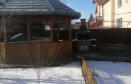 Casa individuala, 500mp, zona Obcini