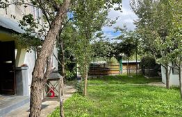 Casa 90 mp, la rosu, potential imens de dezvoltare, Tisauti