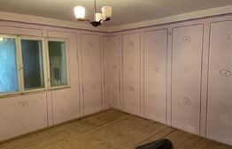 Casa 90 mp, la rosu, potential imens de dezvoltare, Tisauti