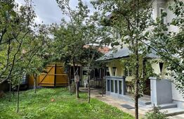 Casa 90 mp, la rosu, potential imens de dezvoltare, Tisauti