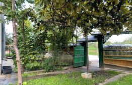 Casa 90 mp, la rosu, potential imens de dezvoltare, Tisauti