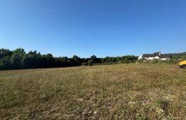 Teren intravilan, 3000mp, com. Darmanesti