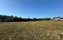 Teren intravilan, 3000mp, com. Darmanesti