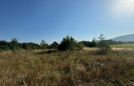 Teren extravilan, 4000mp, com. Darmanesti